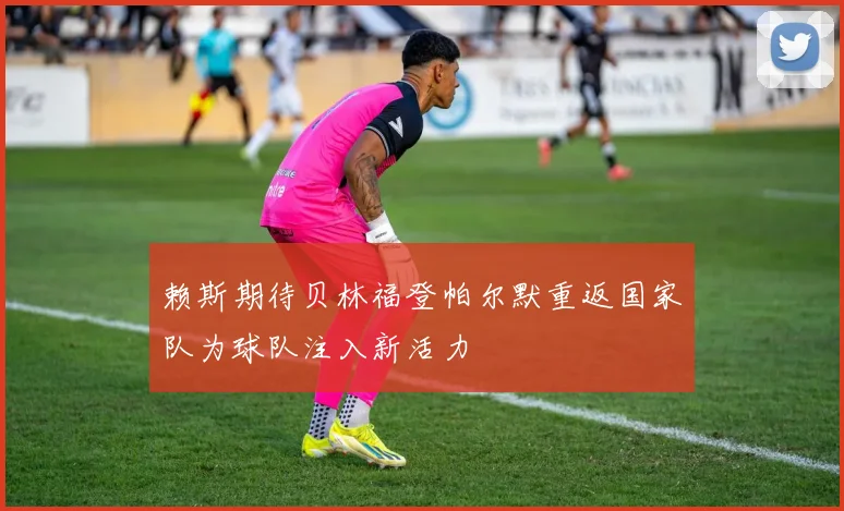 赖斯期待贝林福登帕尔默重返国家队为球队注入新活力