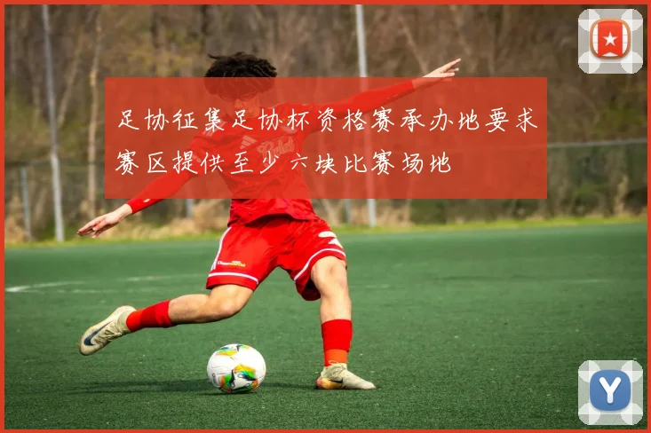 足协征集足协杯资格赛承办地要求赛区提供至少六块比赛场地