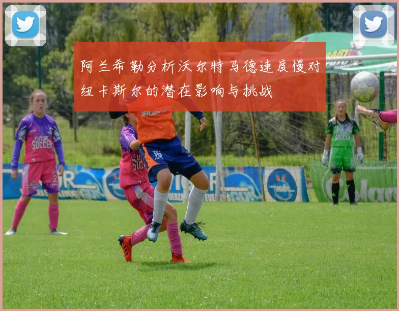 阿兰希勒分析沃尔特马德速度慢对纽卡斯尔的潜在影响与挑战