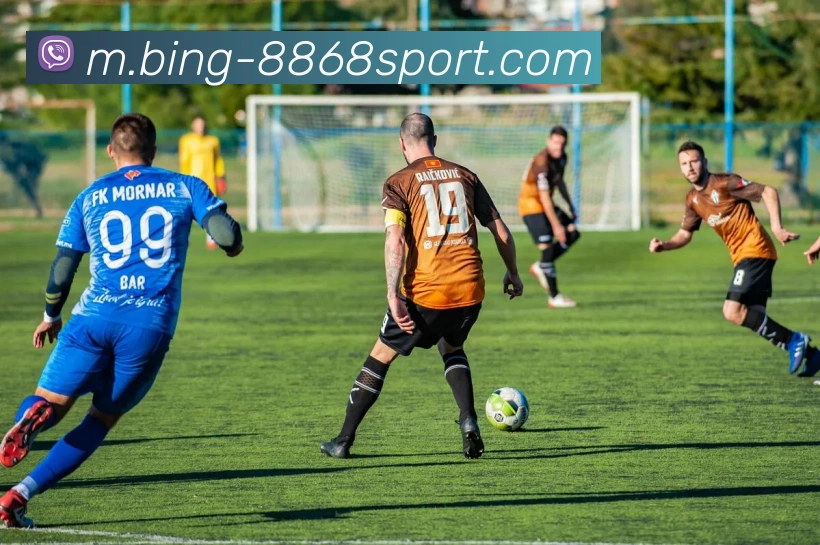 8868体育平台生态图